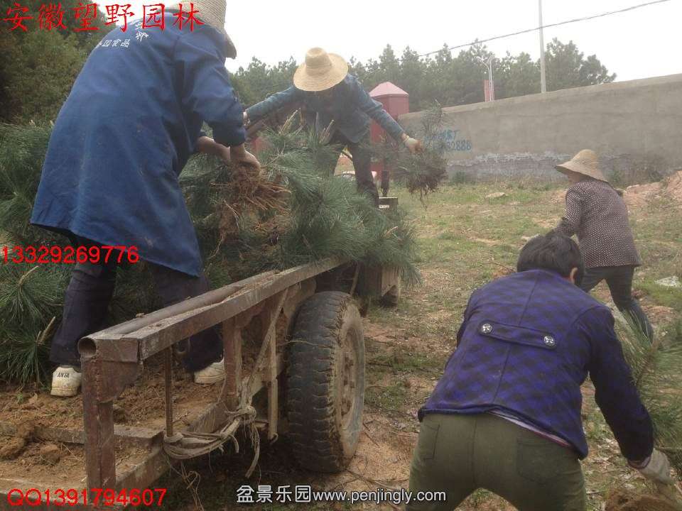 B370495D9BBB7EC260E90B061D3B5E03.jpg
