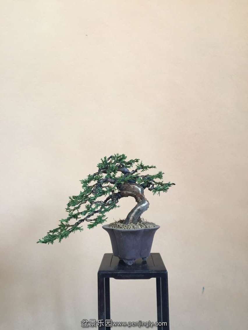 QQͼƬ20150325124915.jpg