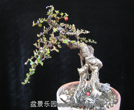 QQͼƬ20150320202846.png