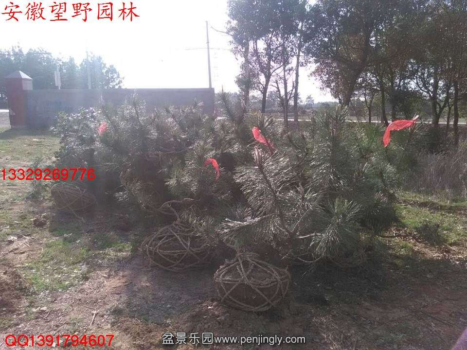 A0C3AF2A3FD7A9BED53088CD8F16C84C.jpg