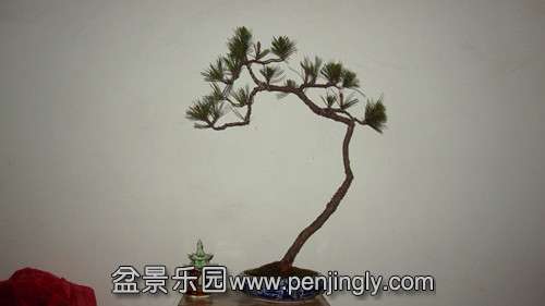 IMG_8325_.jpg