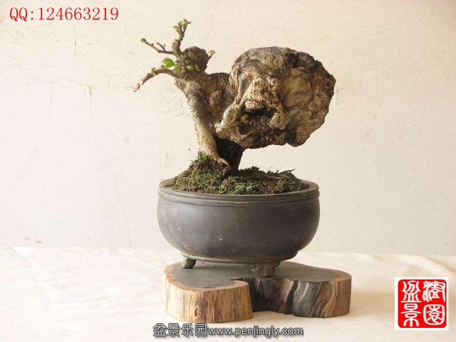 IMG_0247_副本.jpg