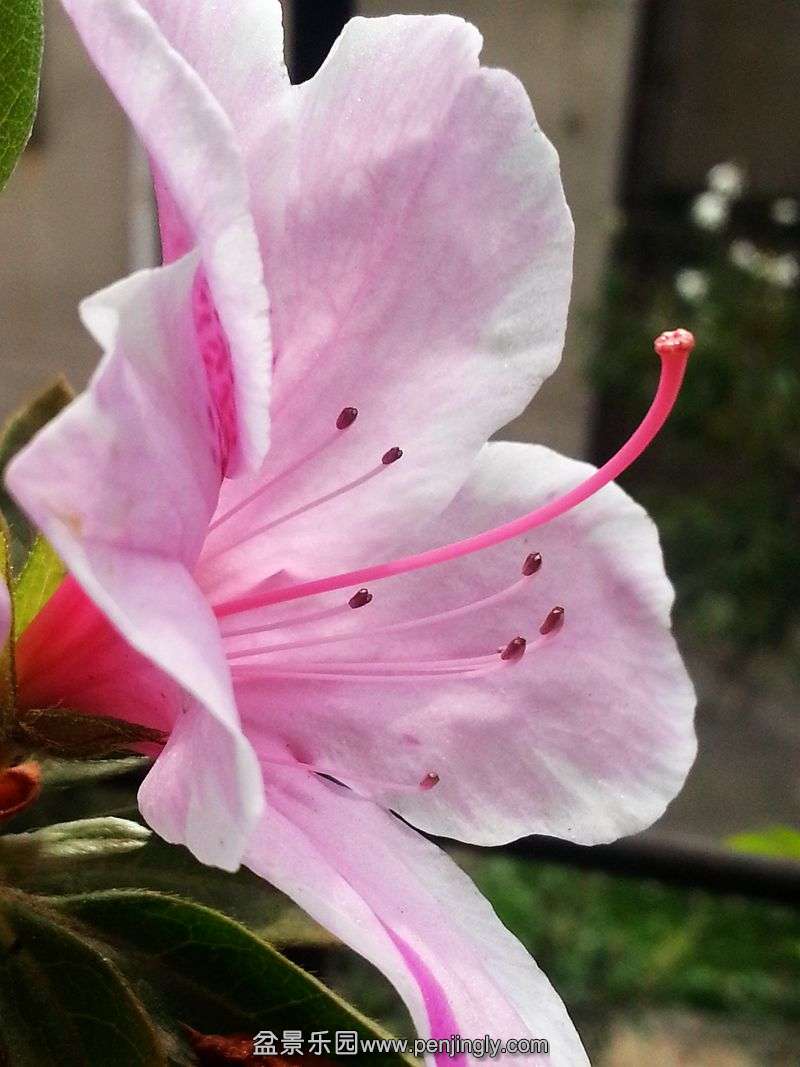 20150329_113530.jpg
