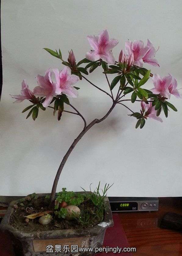20150329_081140.jpg