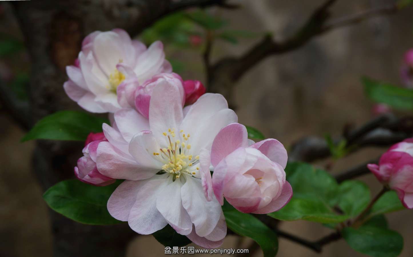 DSC02848.JPG