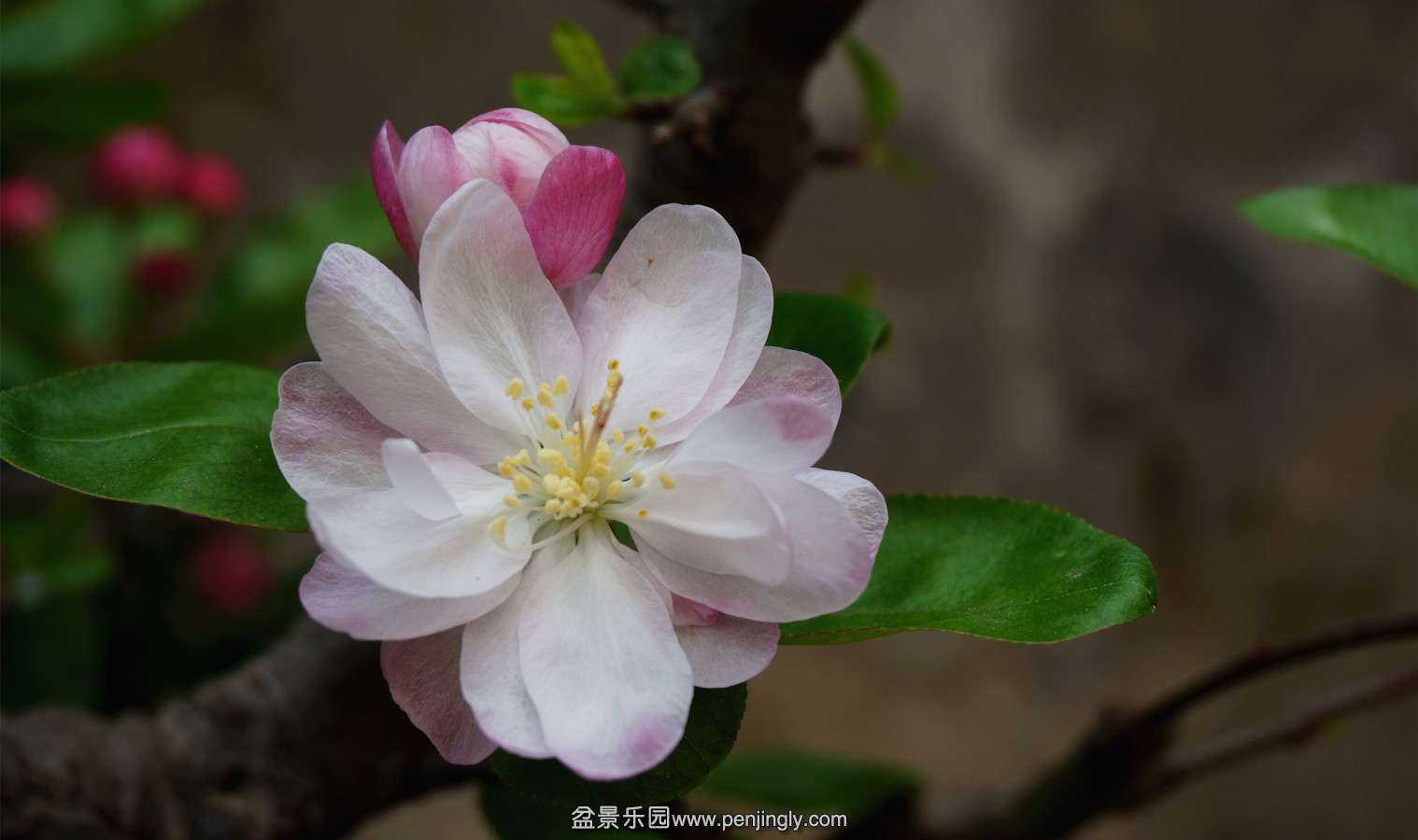 DSC02853.JPG