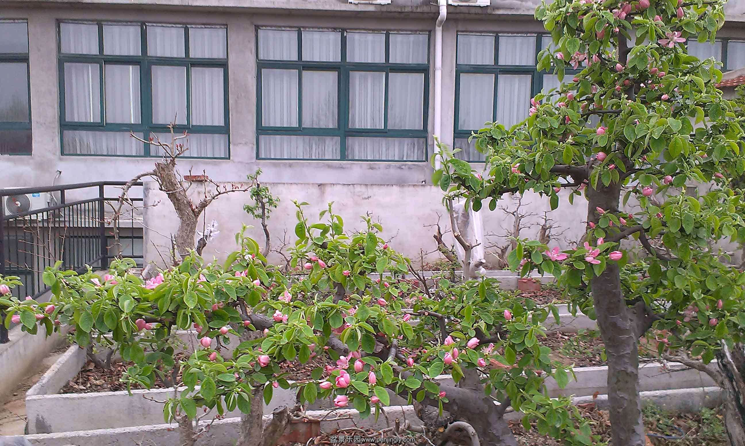IMAG0660.jpg