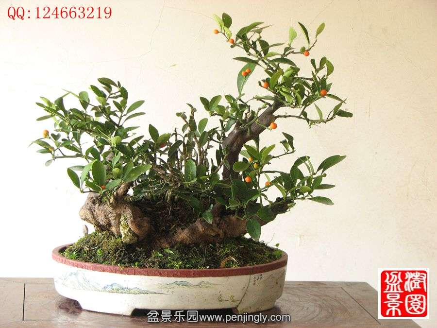 IMG_0279_副本.jpg