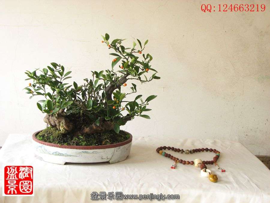 IMG_0283_副本_副本.jpg