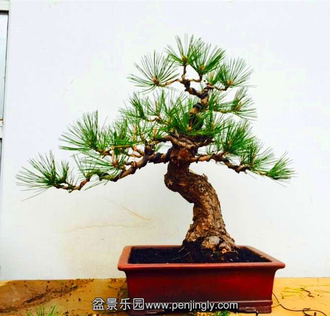 QQͼƬ20150402191414.jpg