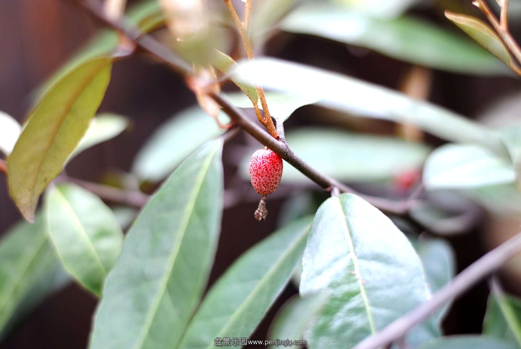 DSC_0887.JPG