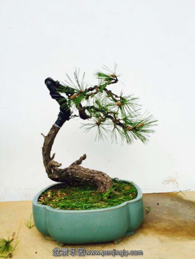 QQͼƬ20150404200323_.jpg