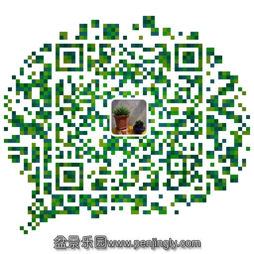 mmqrcode1423782913288.png