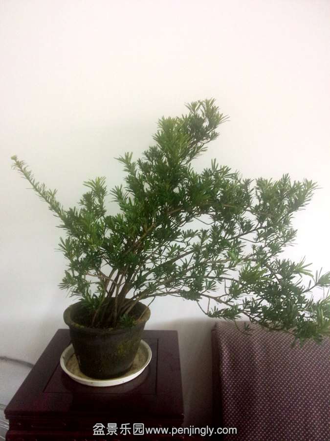 IMG20150405132331.jpg