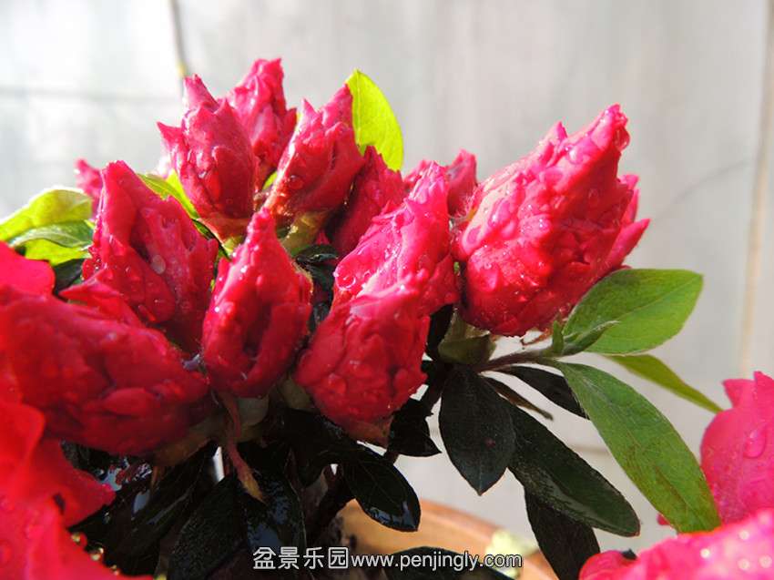 DSCN4588_.jpg