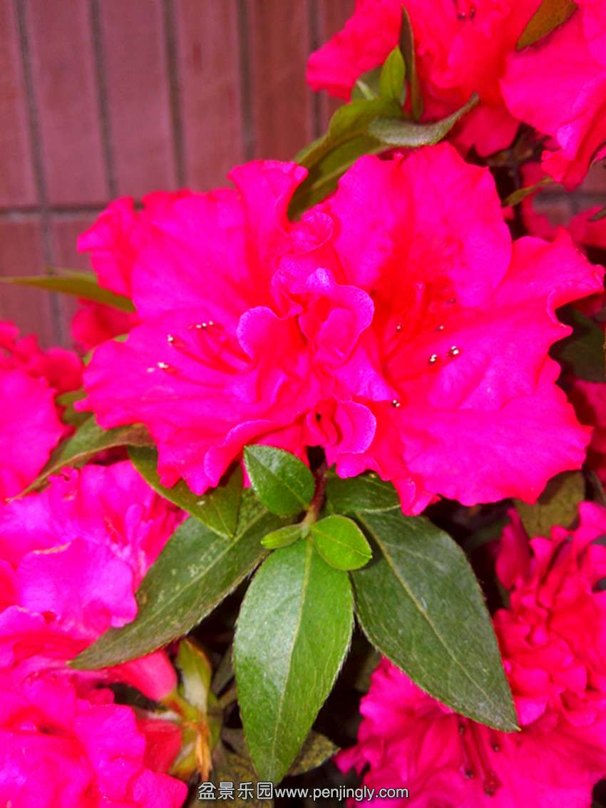 IMG_20150406_140622_.jpg
