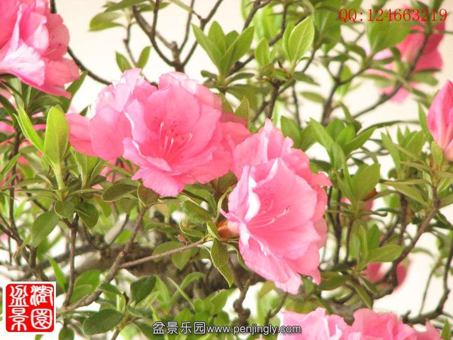 IMG_0326_.jpg