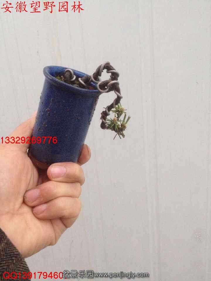 E2C6D12EB9A16E4AF5276F3ACDDCA1FC.jpg