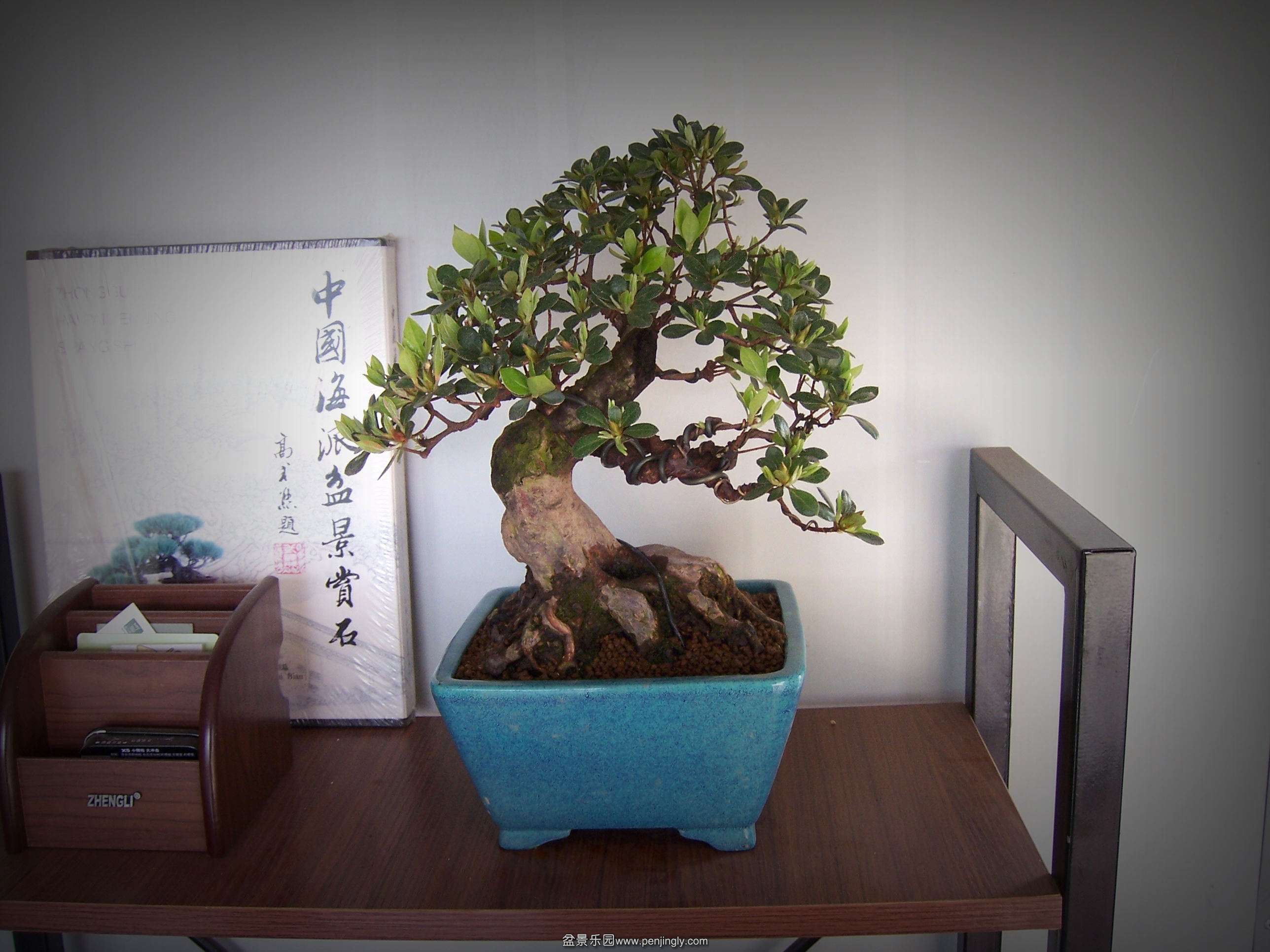 100_2759[1]_.jpg