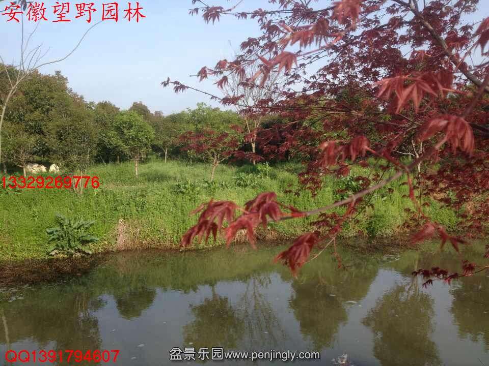 42DC3454EFBE7DCA89D05F3AC9B8D162.jpg
