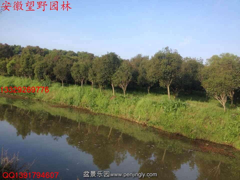 54ECB7543E618A826BC59146DE867213.jpg