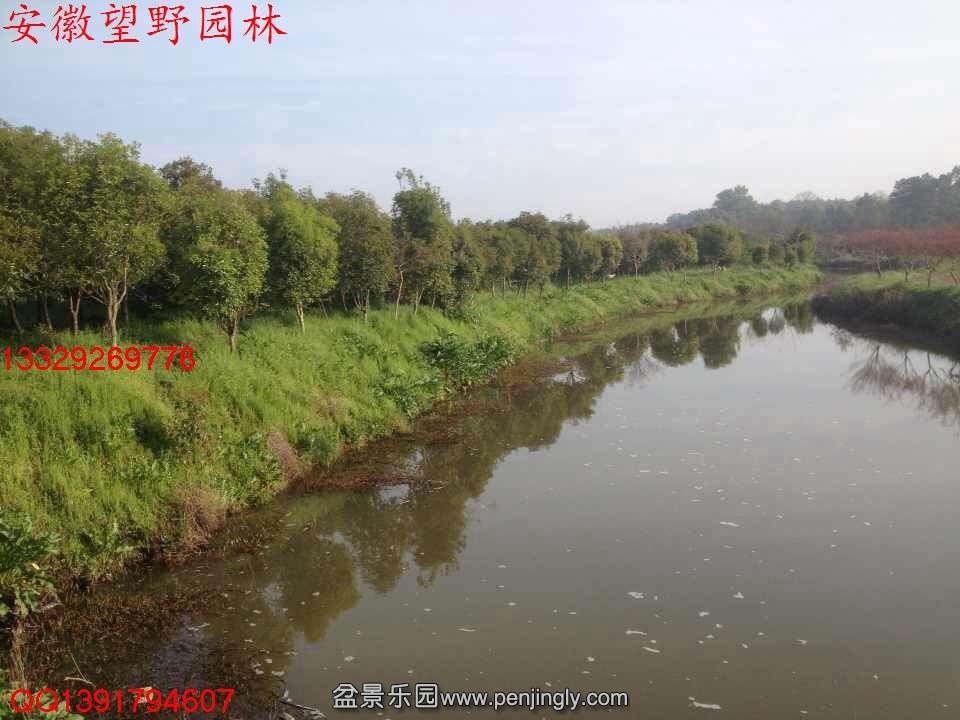 CE7D40407C224AAC2C14832F32C44313.jpg