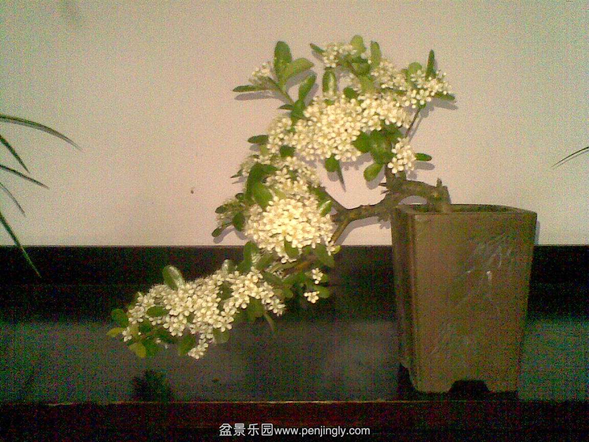 20130506(002).jpg