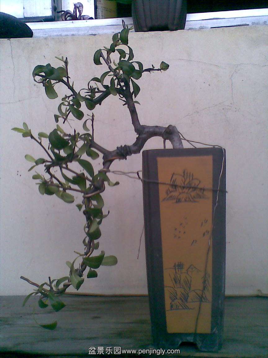 20150408(010).jpg