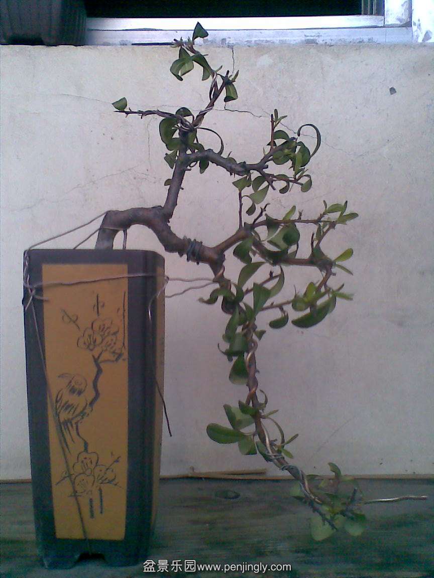 20150408(011).jpg