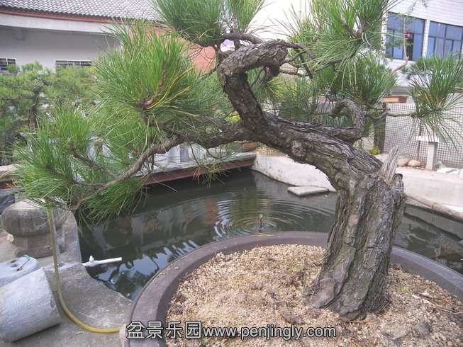 100_3125.JPG