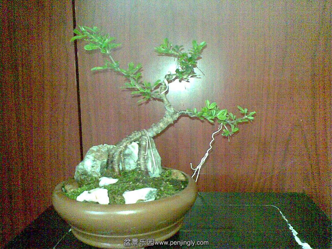 20140329(002).jpg