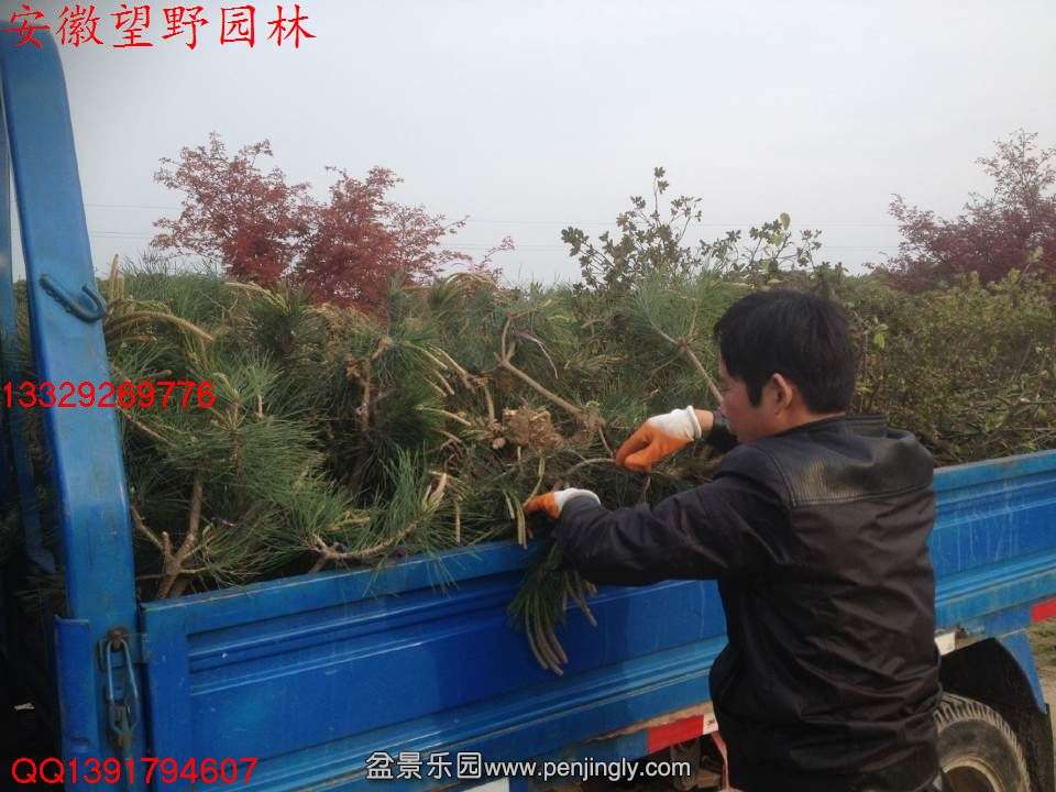 AC99EF074C71C2087A1B1CE0D3FF6056.jpg