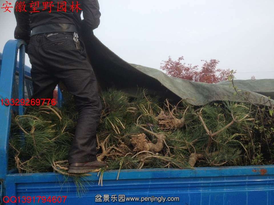 FC0CB3E784BA0678CDECCB0872324024.jpg