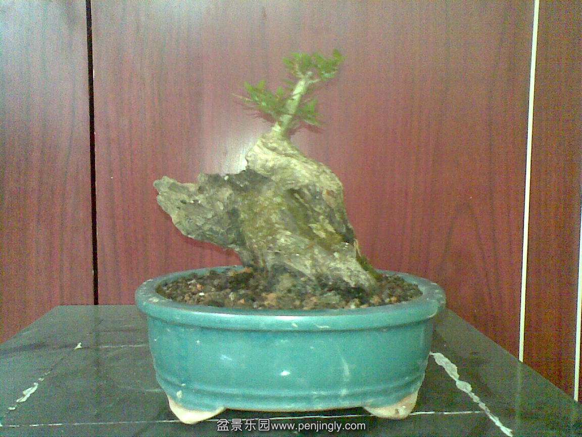 20140509.jpg