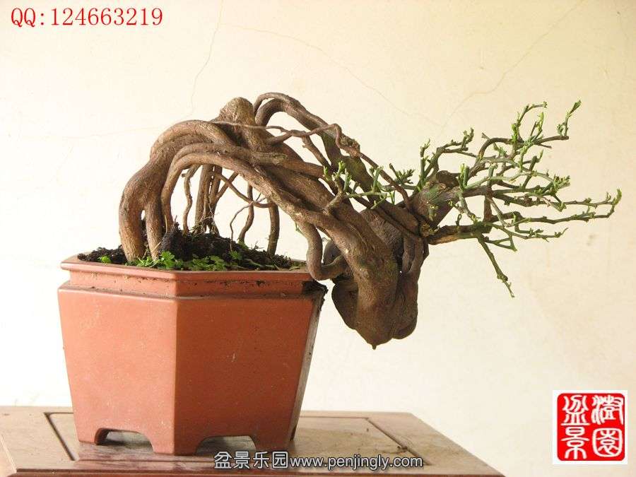 IMG_0396__.jpg