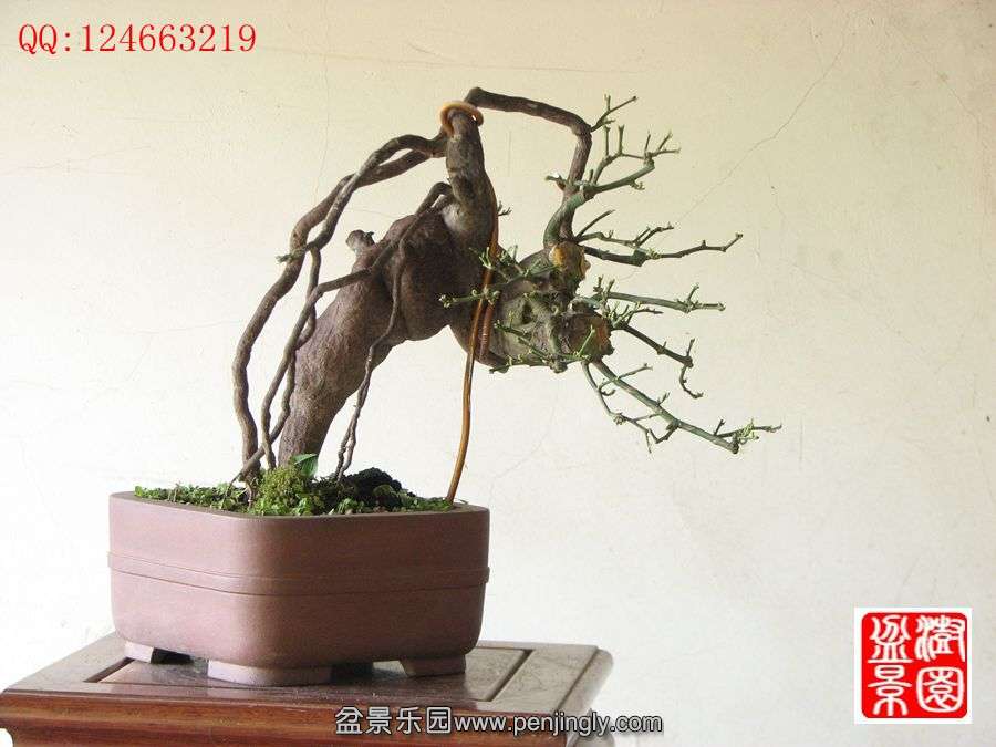 IMG_0427_.jpg