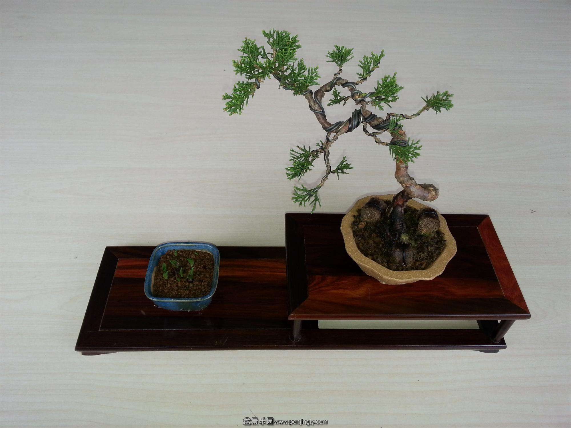 20150406_104057.jpg