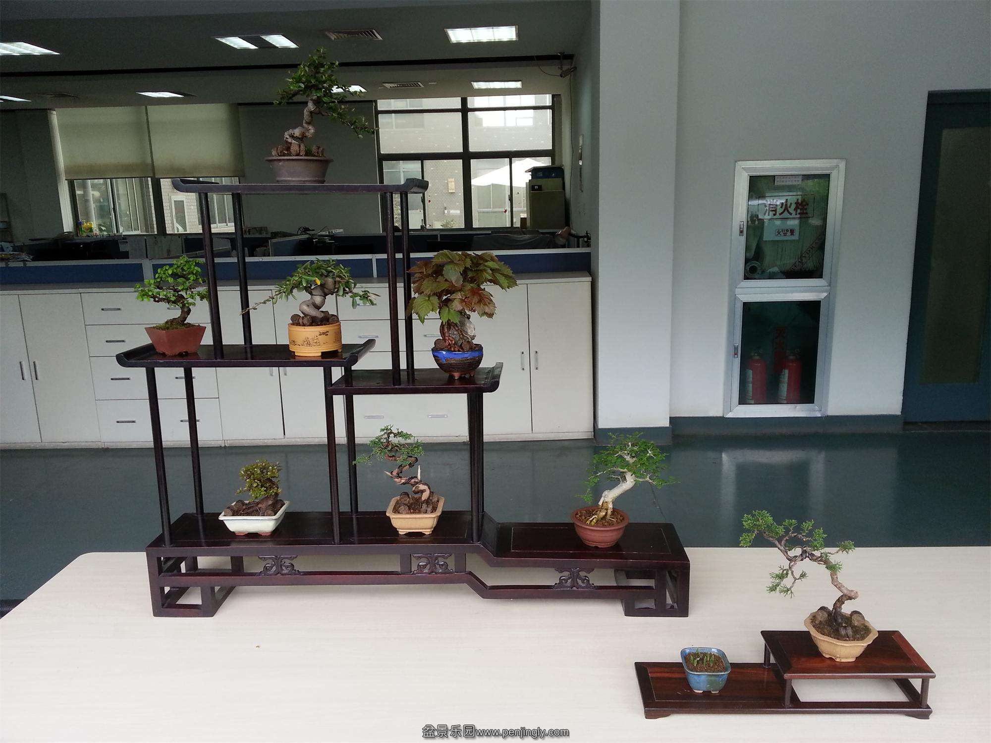 20150406_104013.jpg