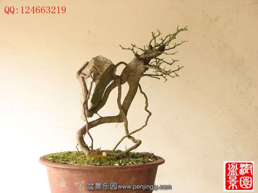 IMG_0450__.jpg
