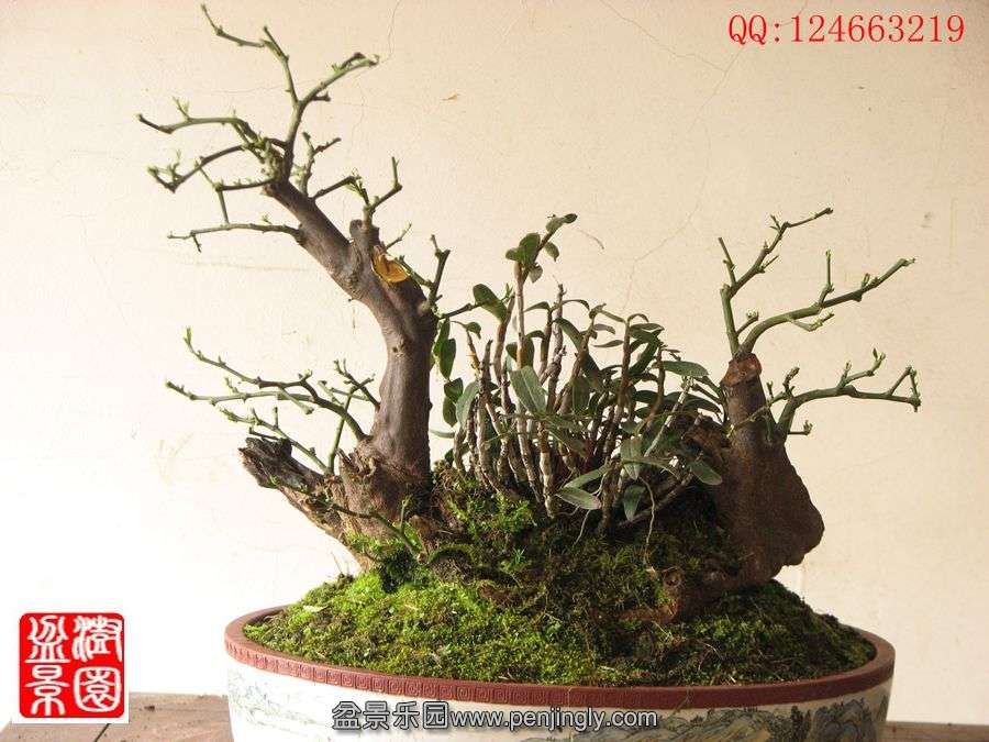IMG_0465__.jpg