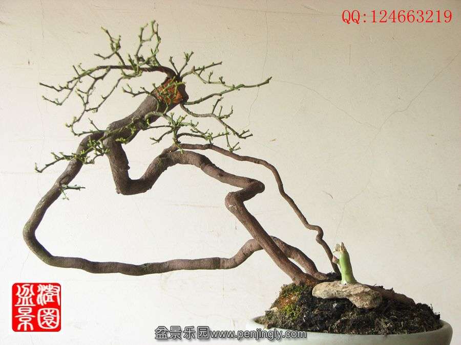 IMG_0480__.jpg