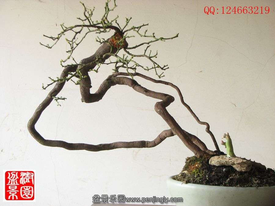 IMG_0483_.jpg