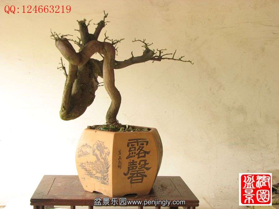 IMG_0540_副本.jpg