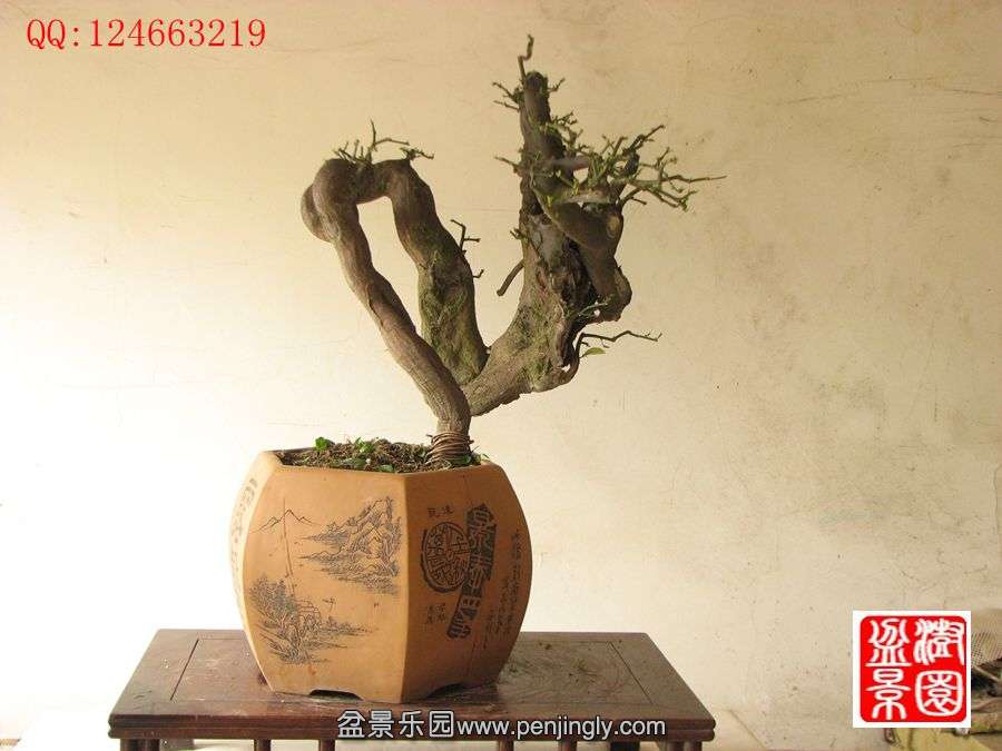 IMG_0542_副本_副本.jpg