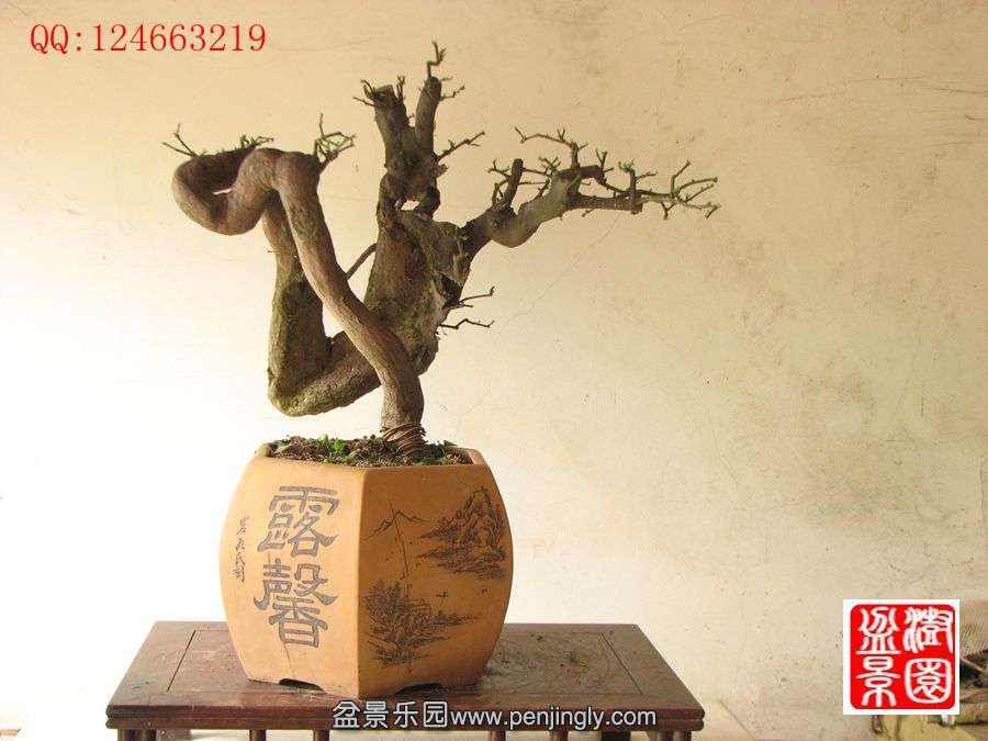 IMG_0541_副本.jpg