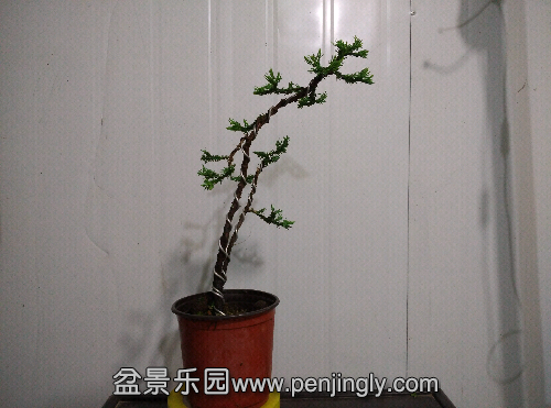 IMG_20150419_191128.jpg