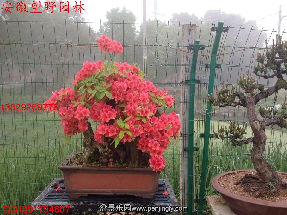 11E6094DA990D11FA76FB91A30BA4E3C.jpg