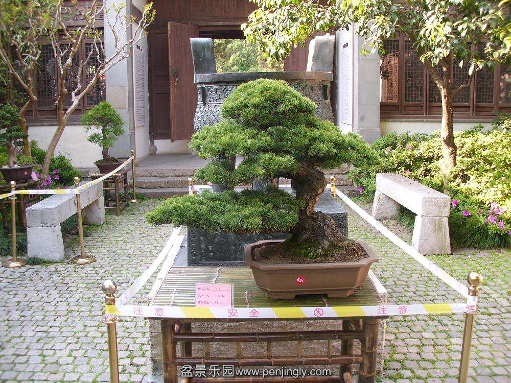 DSCI0440.JPG