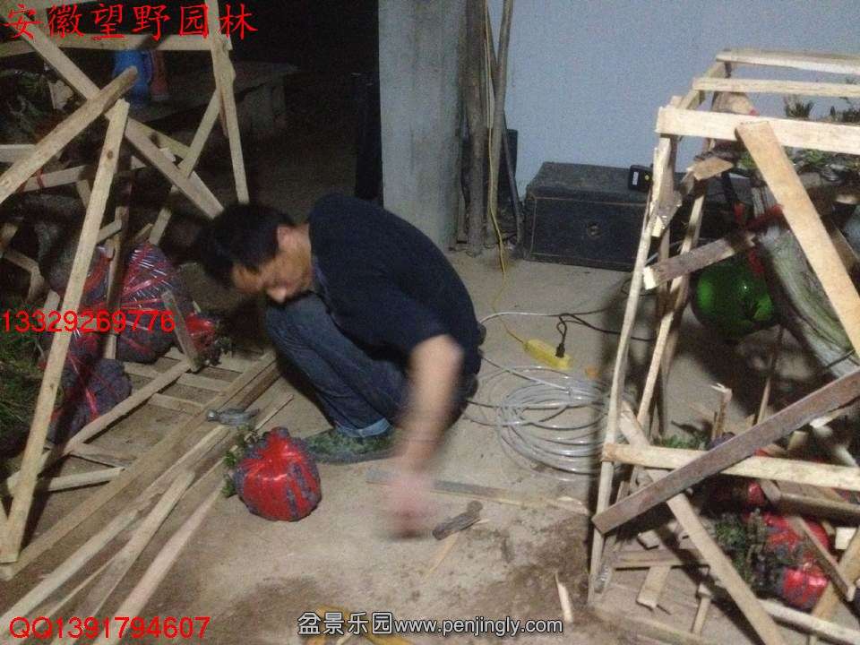 539E79D65F93DCB6091C1BA8653D6686.jpg