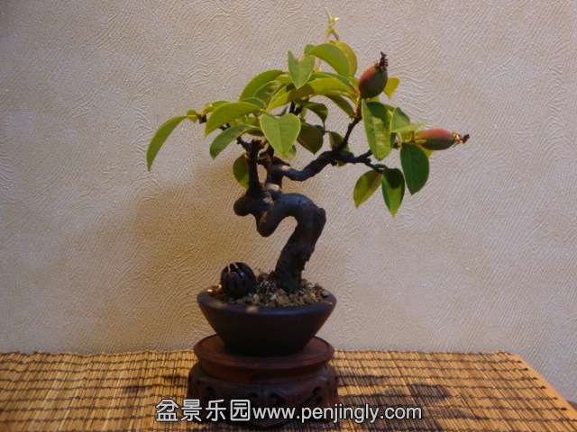 DSC00626.JPG